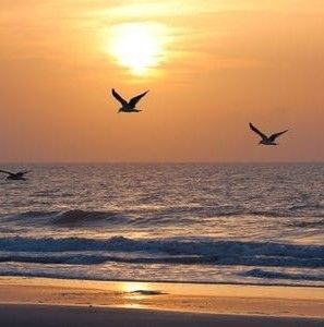 Meet your Posher, Ellen